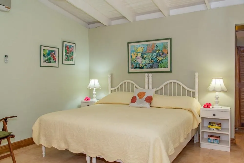 Sunny Vacation Villa No 8 Mandeville Giamaica