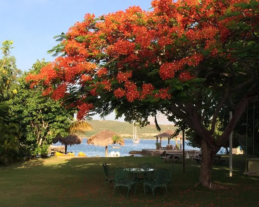 Sunny Vacation Villa No 8 Mandeville